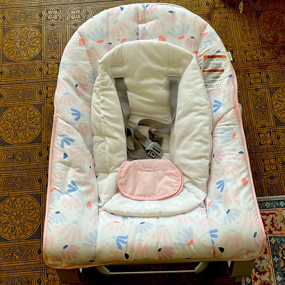 Baby Bouncer